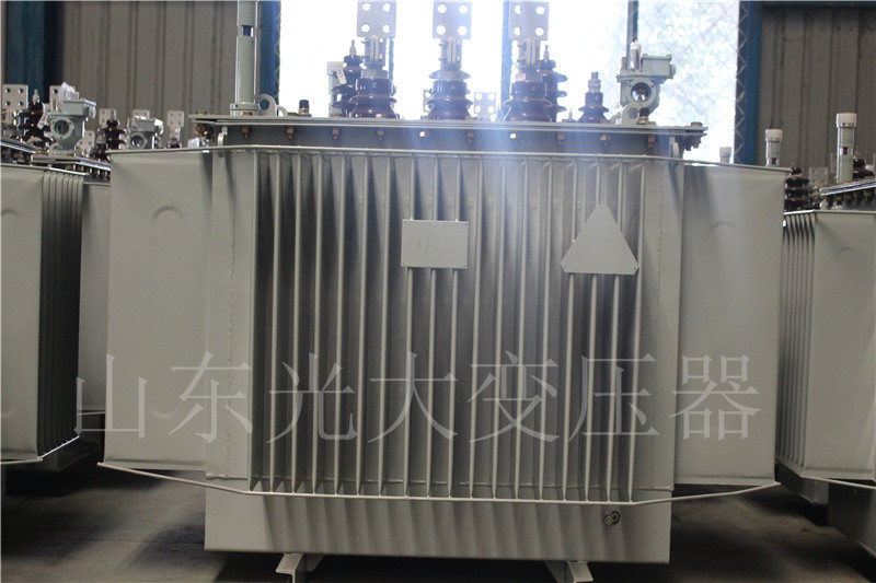 莱阳S20-1000KVA油浸式变